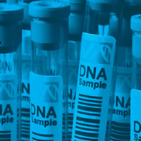 Biomedicina