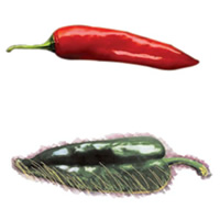 Oxígeno