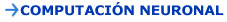 Computación Neuronal