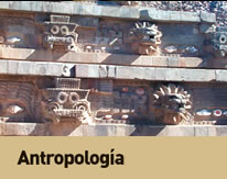 Antropología