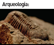Arqueología