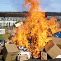 Ecología