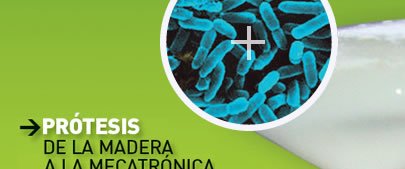 Bacterias