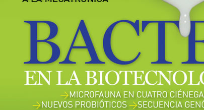 Bacterias