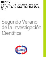 Segundo Verano de la Investigación Científica 