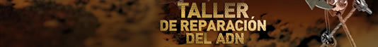 TALLER DE REPARACIÓN DEL ADN 