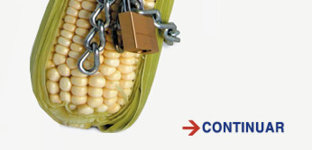 Bioseguridad