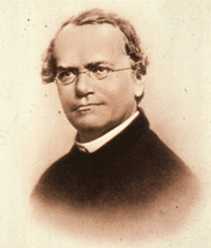 Gregor J. Mendel 