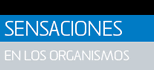 Sensaciones en los organos