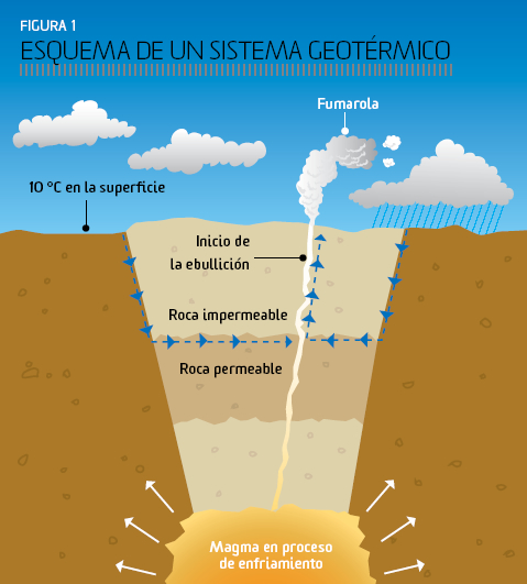 Figura 1