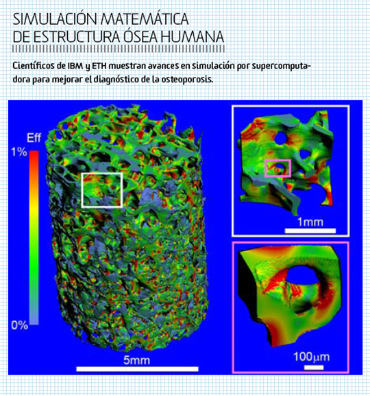 Simulación matemática de estructura ósea