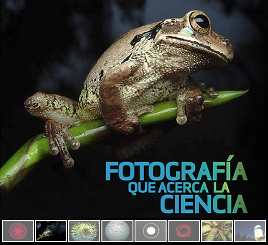 Fotogalería que acerca la ciencia