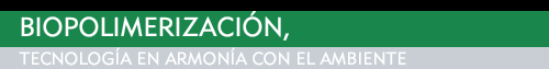 BIOPOLIMERIZACIÓN, TECNOLOGÍA EN ARMONÍA
