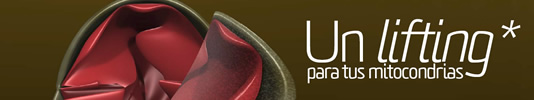 UN LIFTING PARA TUS MITOCRONDRIAS