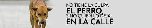 NO TIENE LA CULPA EL PERRO, SINO QUIEN LO DEJA EN LA CALLE