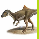 Nueva especie de dinosaurio