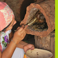 CORREDORES BIOLÓGICOS, CONSERVACIÓN Y DESARROLLO