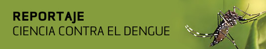 CIENCIA CONTRA EL DENGUE