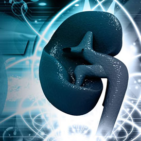 Previenen lesión renal aguda