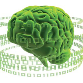 Simulan funcionamiento del cerebro