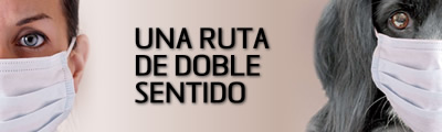 INFECCIONES HUMANAS Y ANIMALES, UNA RUTA DE DOBLE SENTIDO