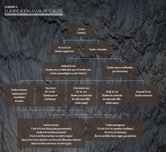 Cuadro 3 Clasificación maya de suelos