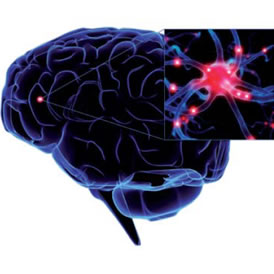 Aceite con microalgas