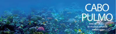 Cabo Pulmo. Arrecife coralino de valiosos servicios ambientales