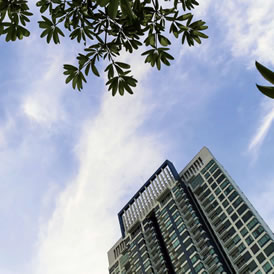 Ecología urbana