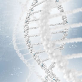 Molécula de ADN. La compleja fábrica de la vida 