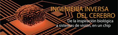 Ingeniería inversa del cerebro. De la inspiración biológica a sistemas de visión, en un chip 