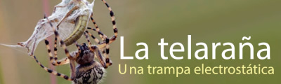 La telaraña, una trampa electrostática