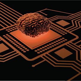 Ingeniería inversa del cerebro. De la inspiración biológica a sistemas de visión, en un chip