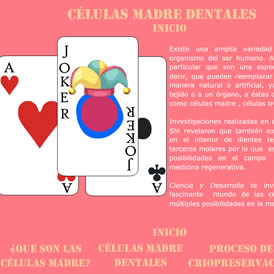 Imagen de Infografía animada Células madre dentales