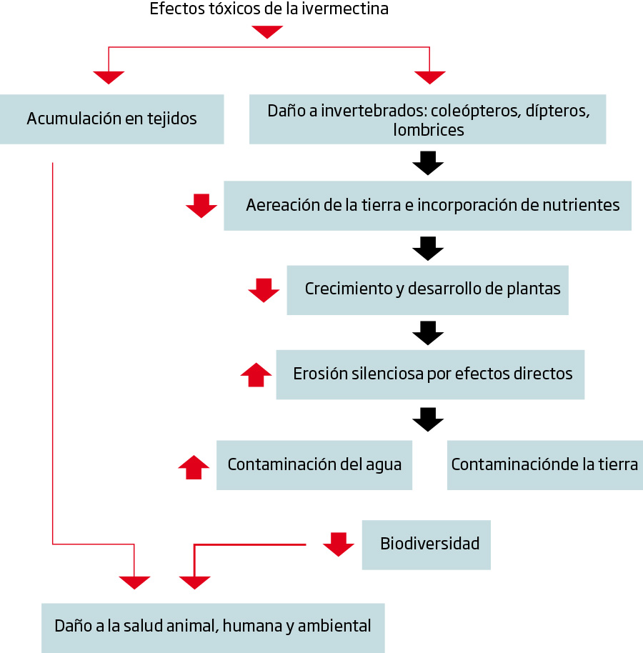  Antiparasitos Humanos